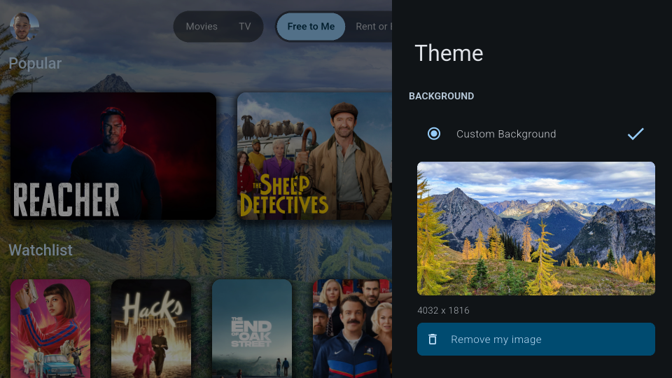 The Theme drawer with a custom background image selected